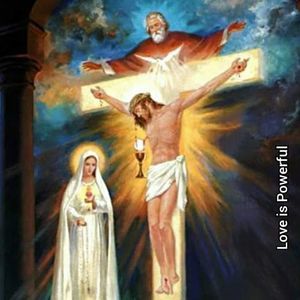 Meet your Posher, Noel